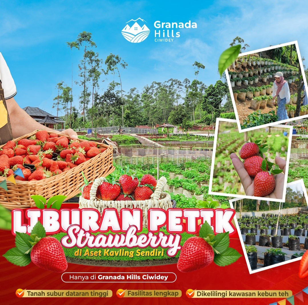 Kavling Kebun Strawbery di Jantung Wisata Ciwidey