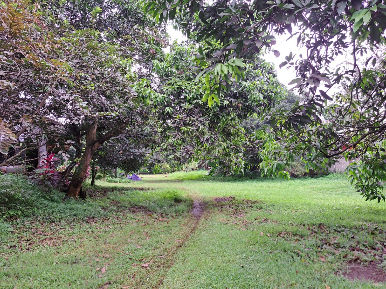 Dijual tanah di Jalan Transyogi, Nagrak, Gunung Putri, Bogor