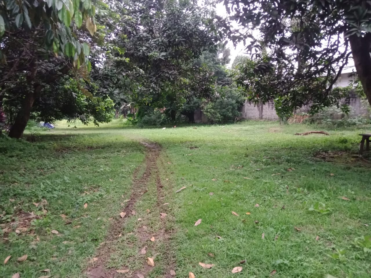 Dijual tanah di Jalan Transyogi, Nagrak, Gunung Putri, Bogor