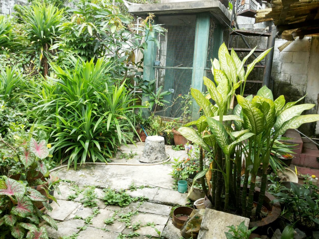 RUMAH DI KRAMAT JATI JAKARTA TIMUR
