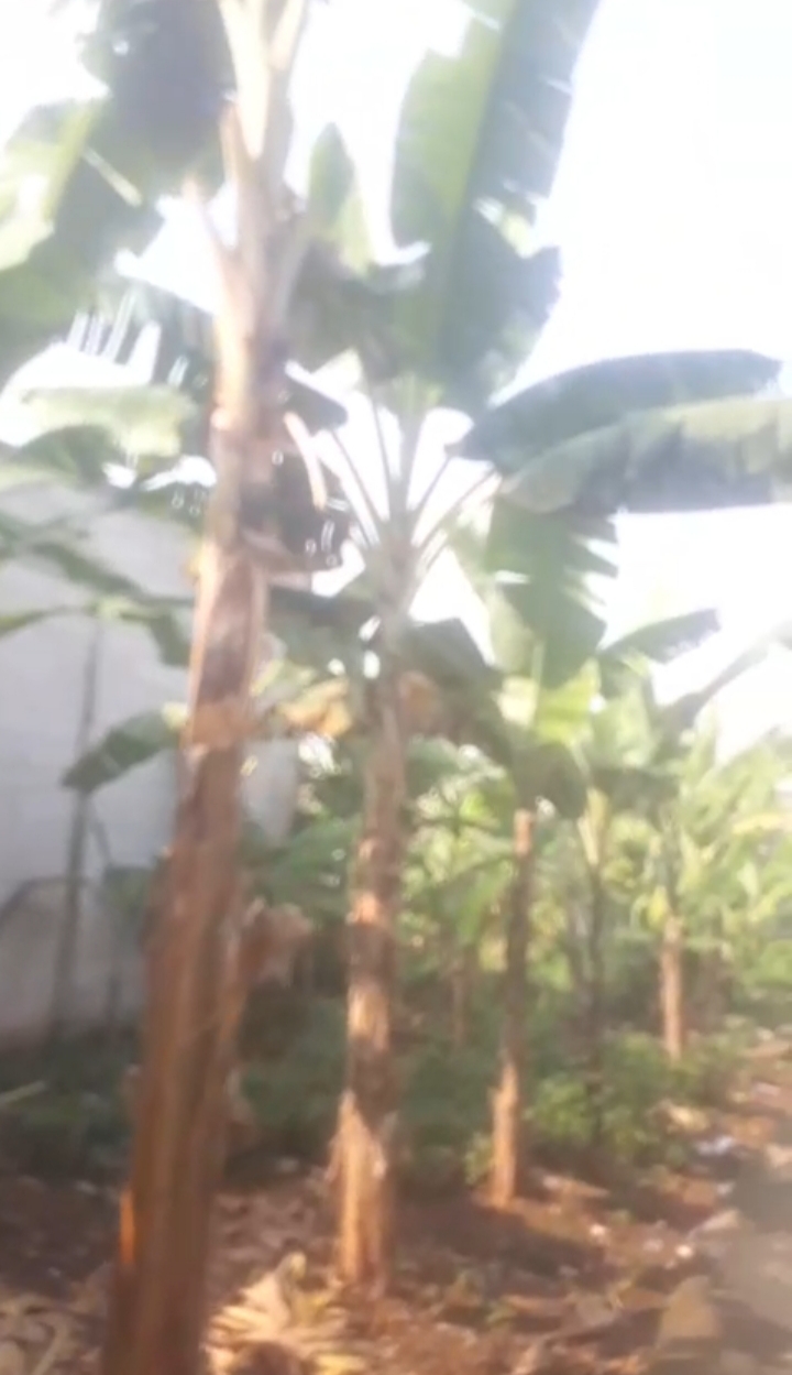 Tanah murah 45 m2 akses motor dekat grand depok city