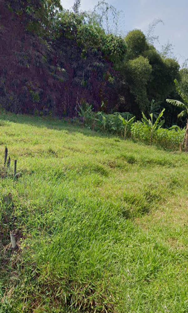 Tanah Utk Rmh Kost atau Cluster Dekat Unpad ITB IPDN Jatinangor