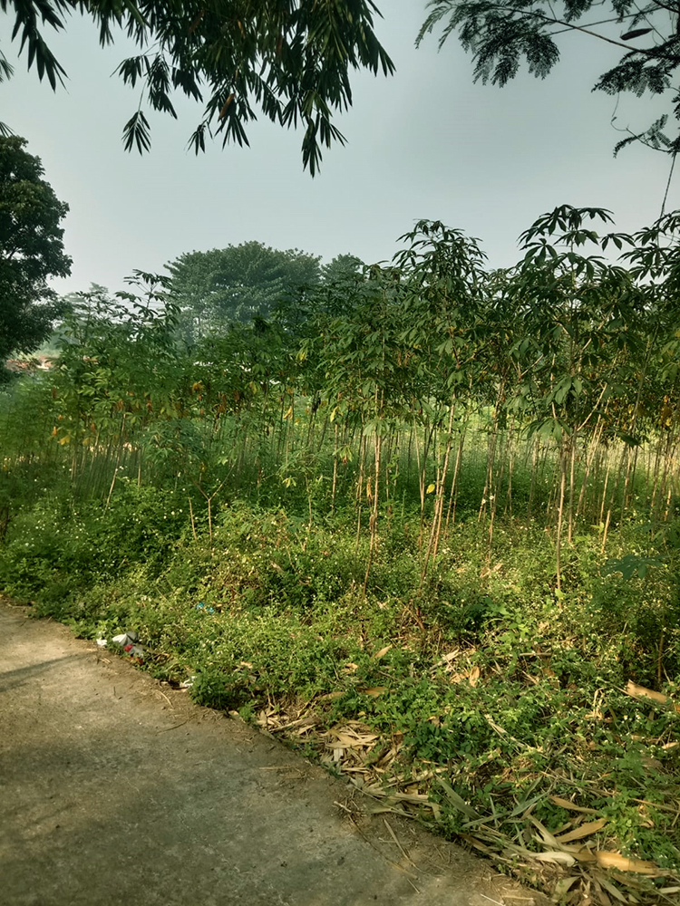 Tanah Utk Rumah Kost dan Student House di Jatinangor Sumedang