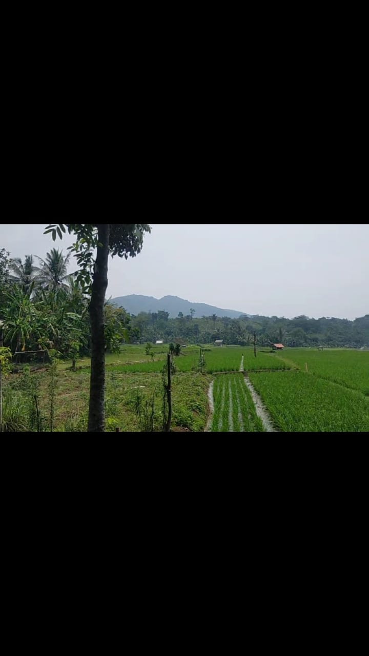 Dijual Tanah didaerah berkembang